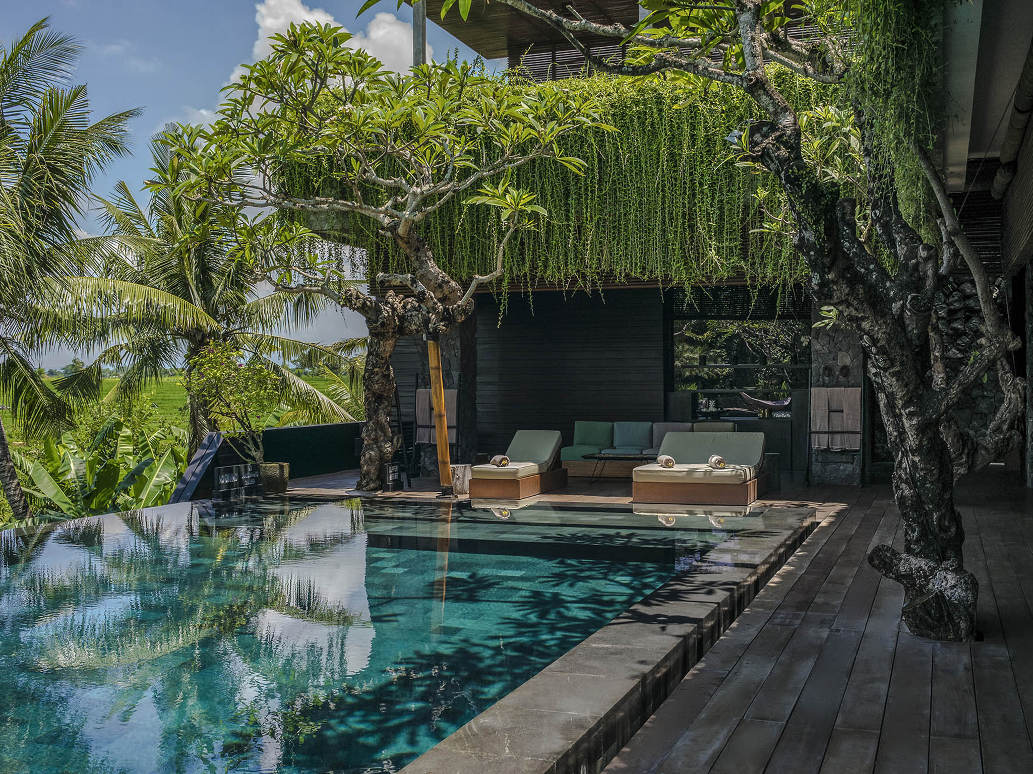 Villa Mana - Lounge poolside - Villa Mana, Canggu, Bali